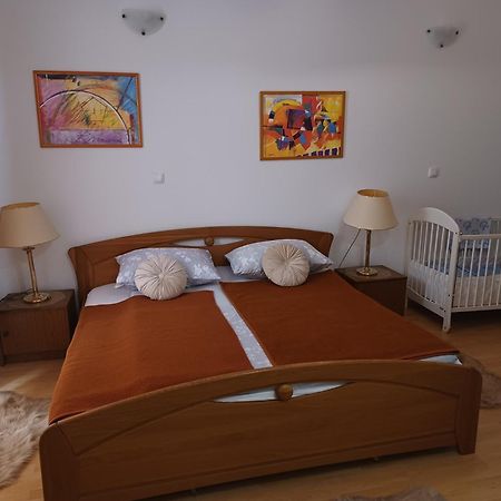 Apartmandamir ツリクヴェニツァ エクステリア 写真