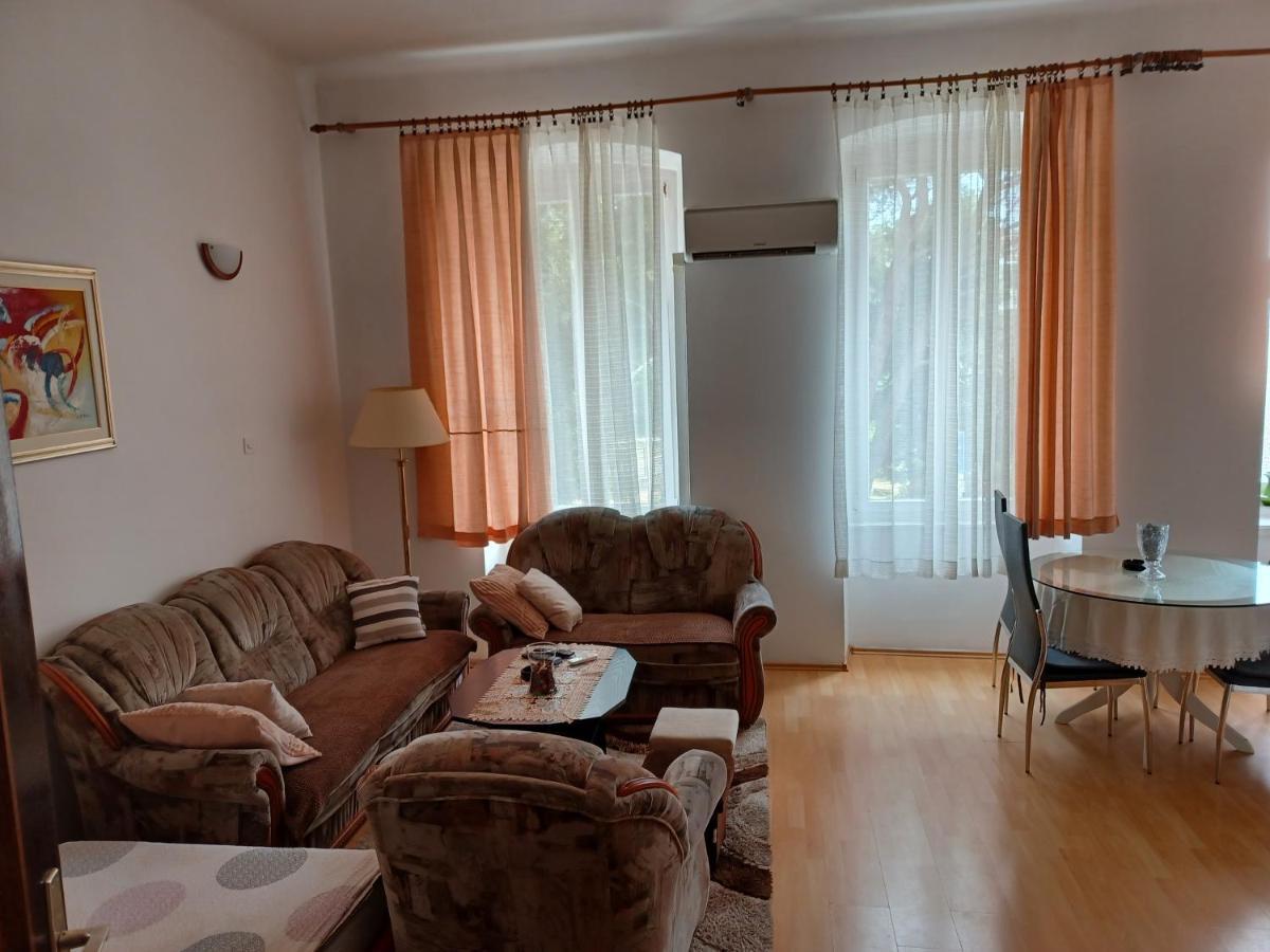 Apartmandamir ツリクヴェニツァ エクステリア 写真