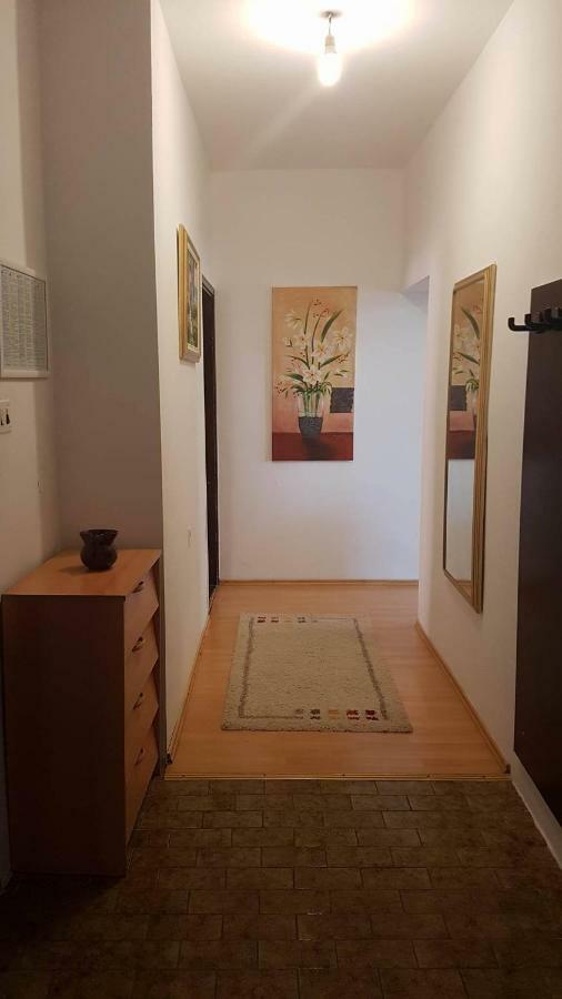 Apartmandamir ツリクヴェニツァ エクステリア 写真